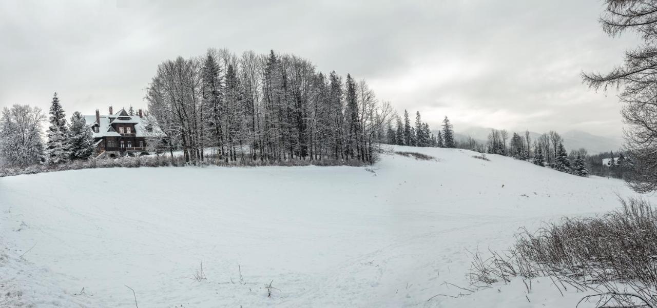 Zakoznami- Willa Wywczas Zakopane Dış mekan fotoğraf